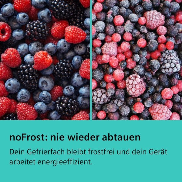 Siemens GS36NVIEP Inverteres NoFrost fagyasztószekrény, A++, 242L. - Image 8